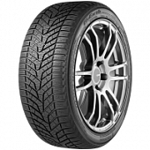 Шины BluEarth Winter V905